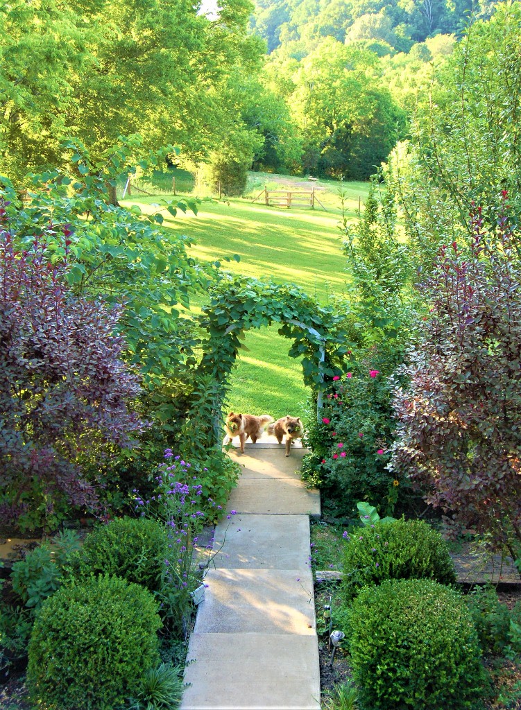 3626 Crafton Foster Road Mount Pleasant, TN 38474 - Photo 36 of 53 Gallery Image 36
