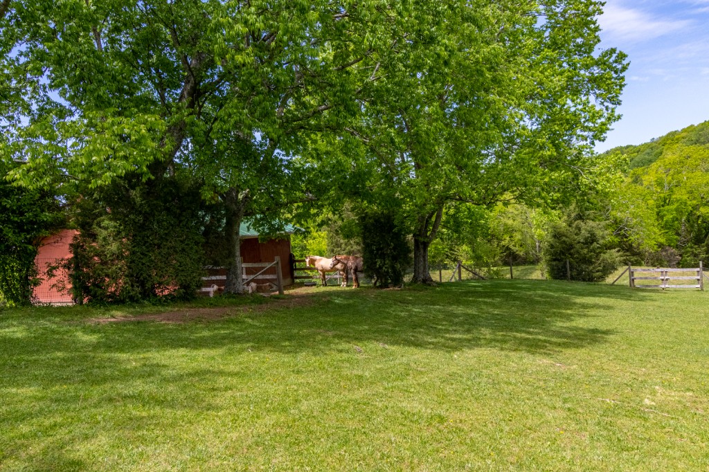 3626 Crafton Foster Road Mount Pleasant, TN 38474 - Photo 39 of 53 Gallery Image 39