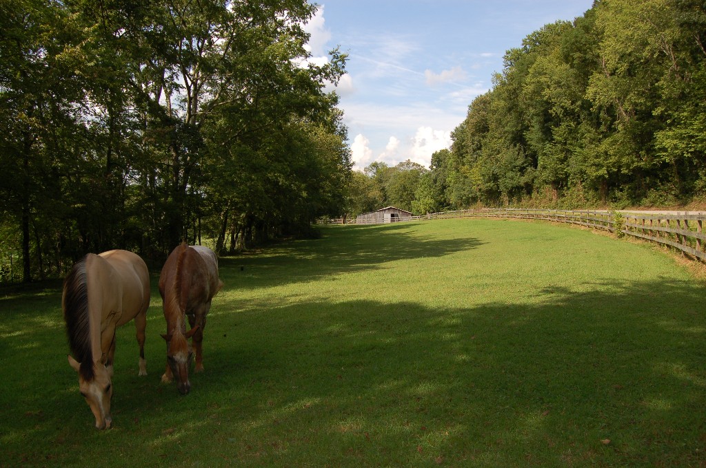 3626 Crafton Foster Road Mount Pleasant, TN 38474 - Photo 42 of 53 Gallery Image 42
