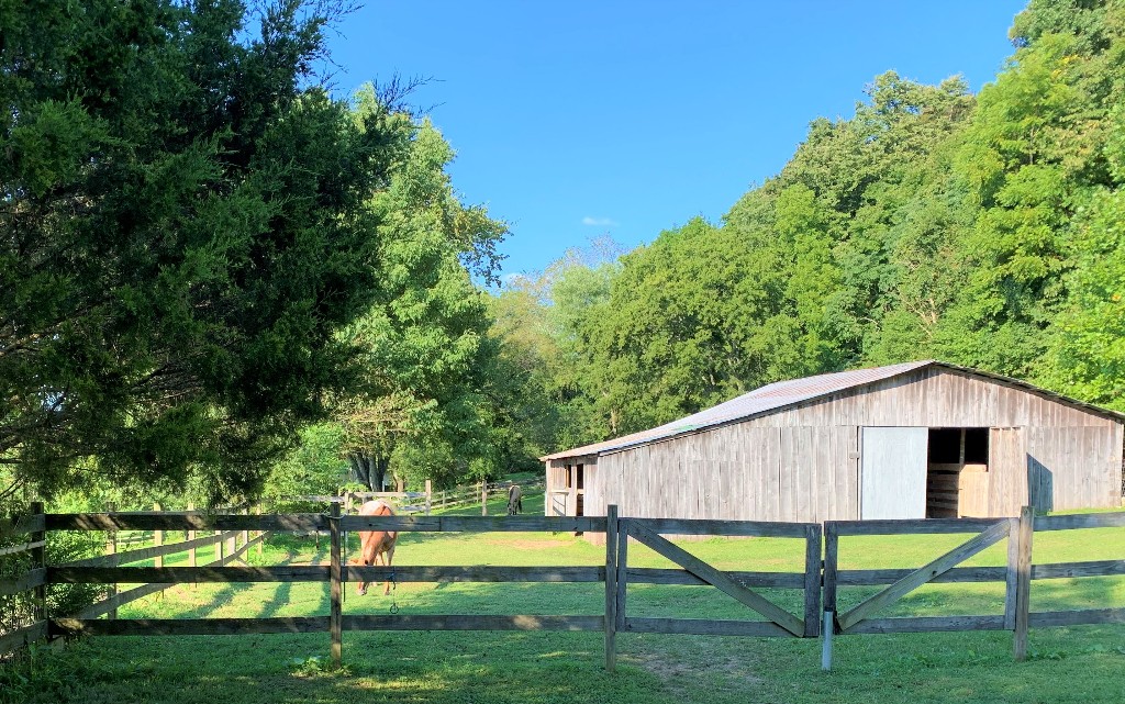 3626 Crafton Foster Road Mount Pleasant, TN 38474 - Photo 43 of 53 Gallery Image 43