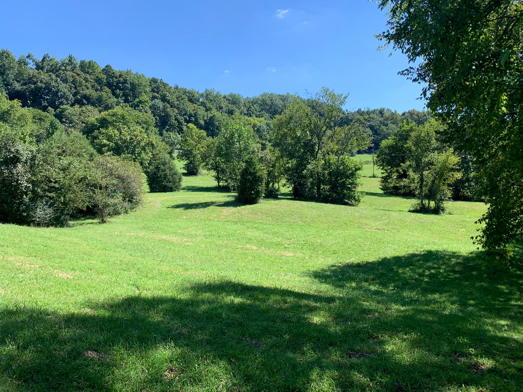 3626 Crafton Foster Road Mount Pleasant, TN 38474 - Photo 47 of 53 Gallery Image 47