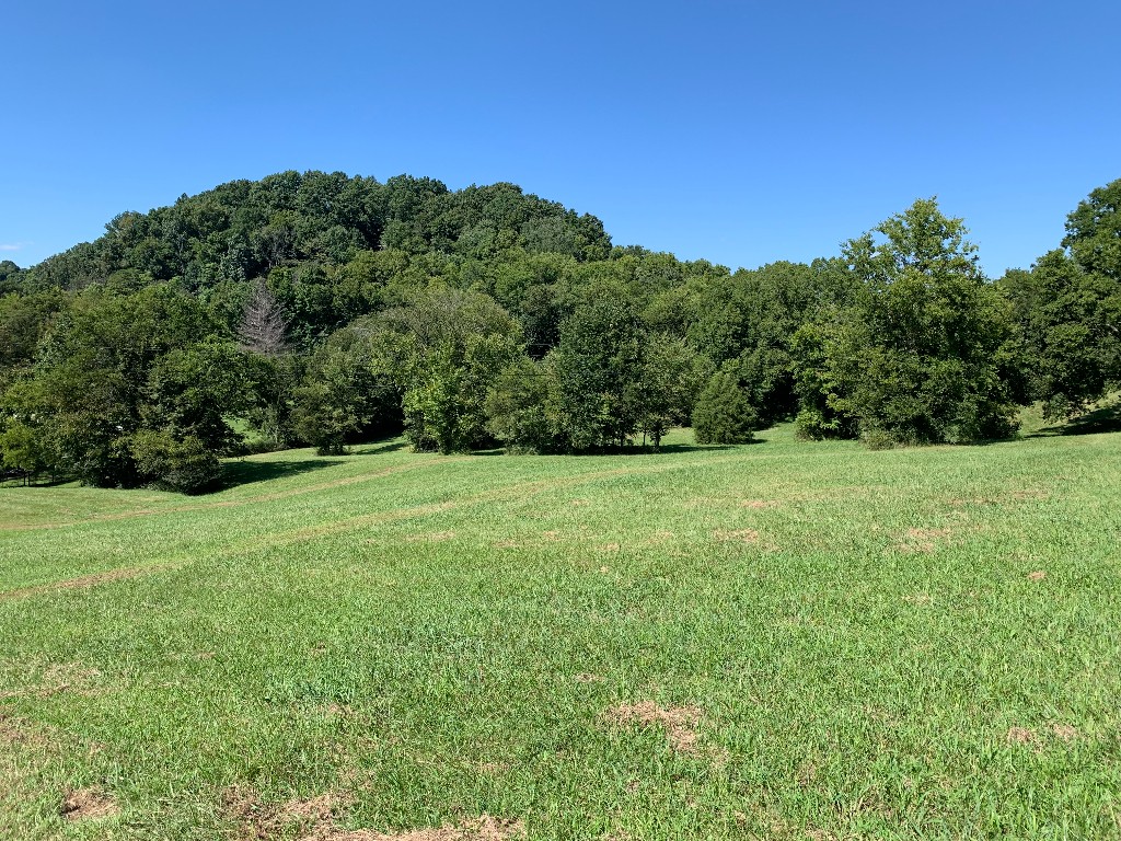 3626 Crafton Foster Road Mount Pleasant, TN 38474 - Photo 51 of 53 Gallery Image 51