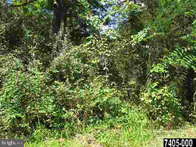 Lot #3 Chapel Road, Unit 3 Gettysburg, PA 17325 - Photo 2 of 3