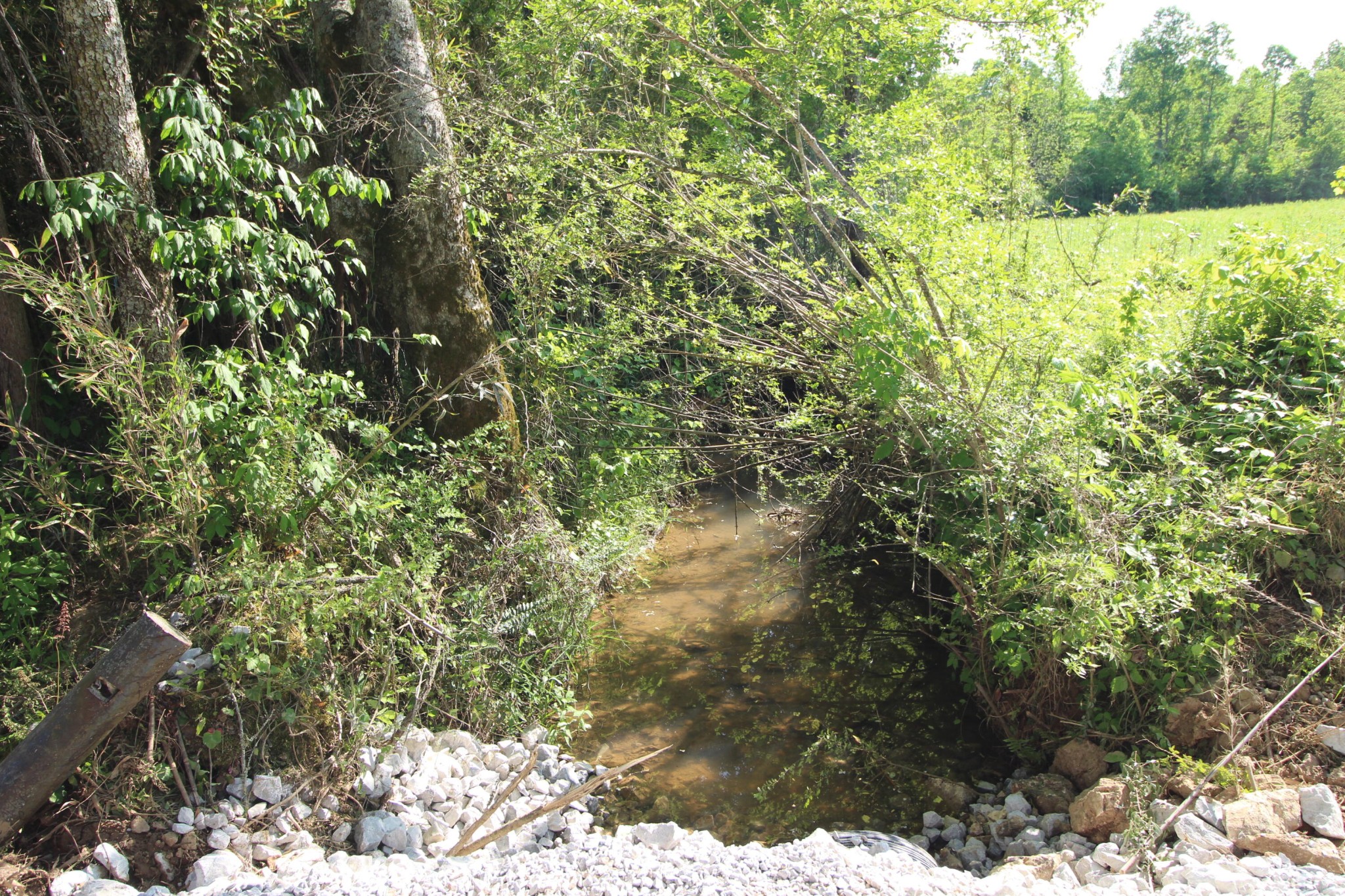2 Dogtown Road Ten Mile, TN 37880 - Photo 17 of 33 Gallery Image 17