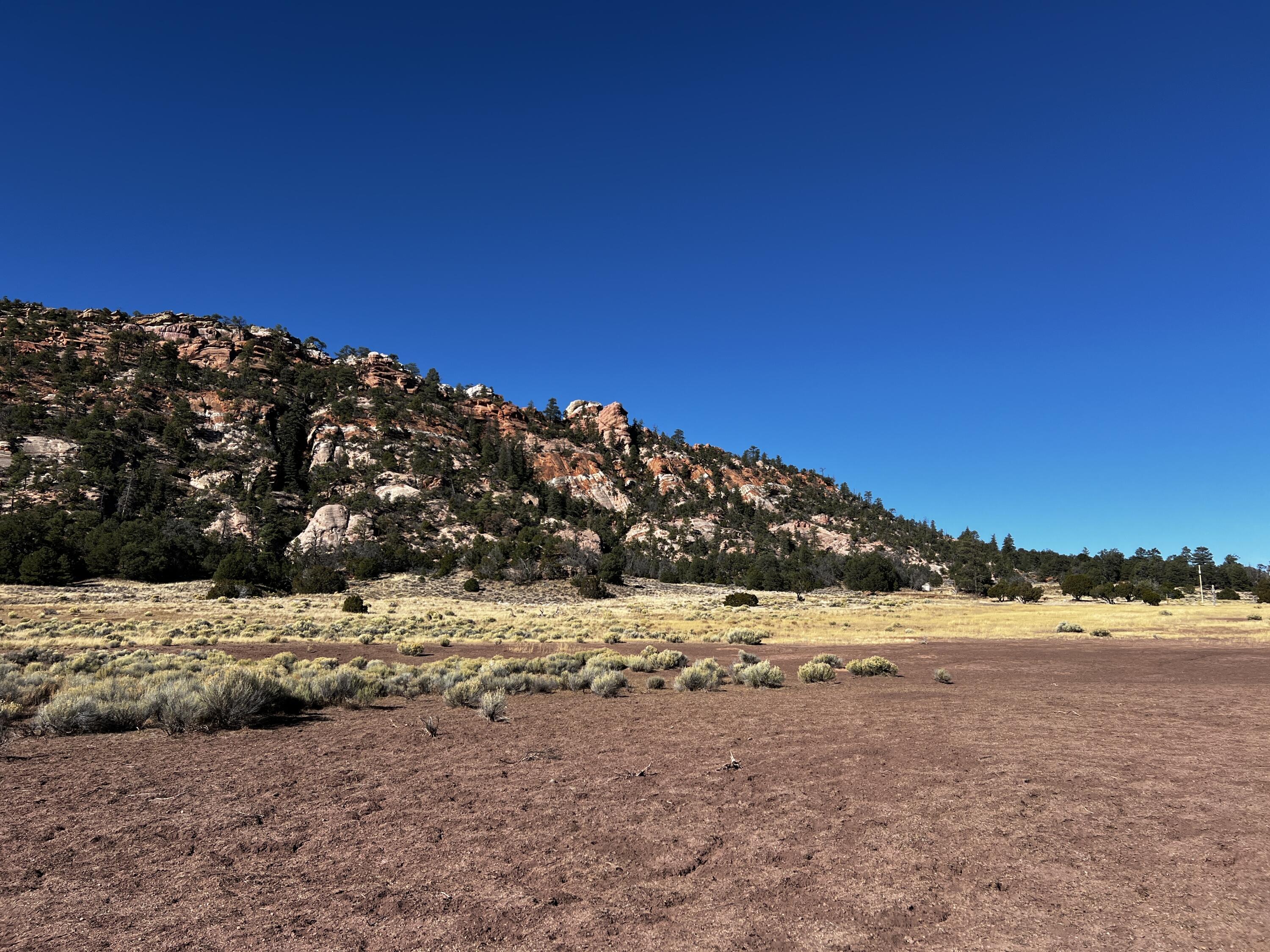 Lot 2 Lot Road Ramah, NM 87321 - Photo 12 of 21 Gallery Image 12