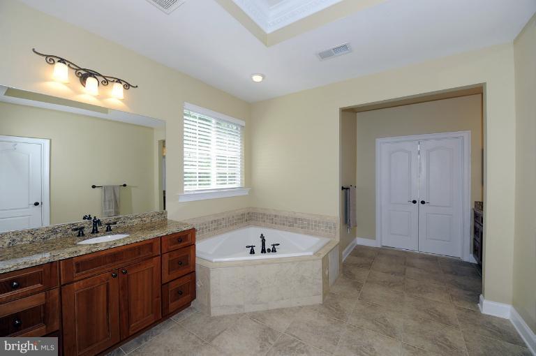 12126 Frederick Road Ellicott City, MD 21042 - Photo 23 of 28 Bath (Master)