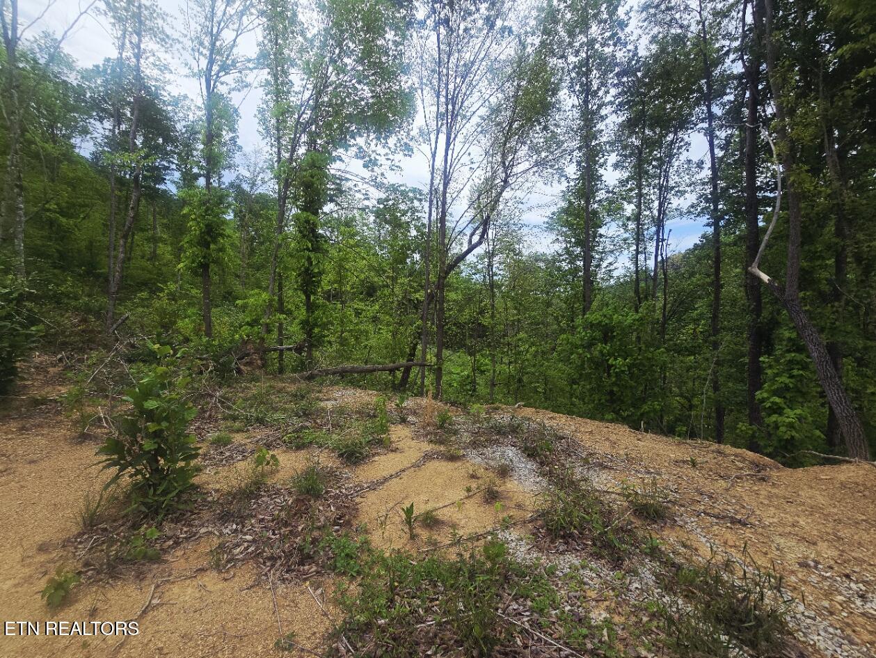 2774 Stanley Creek Road Oneida, TN 37841 - Photo 14 of 29 20260427_125159