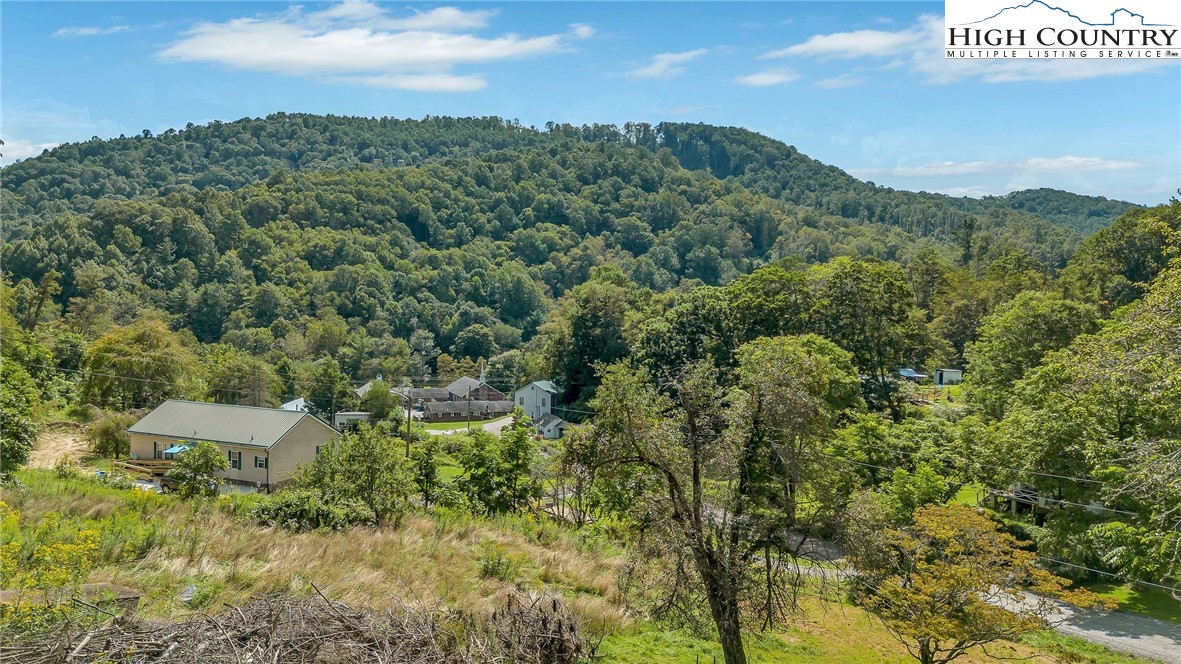 393 Carter Miller Road Todd, NC 28684 - Photo 8 of 48 a view of a city with lush green forest