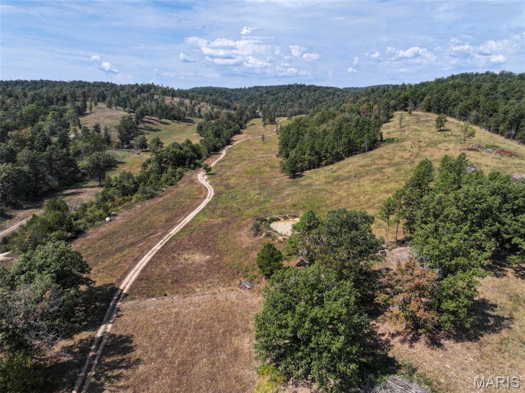 0 County Road 330 Redford, MO 63665 - Photo 11 of 96