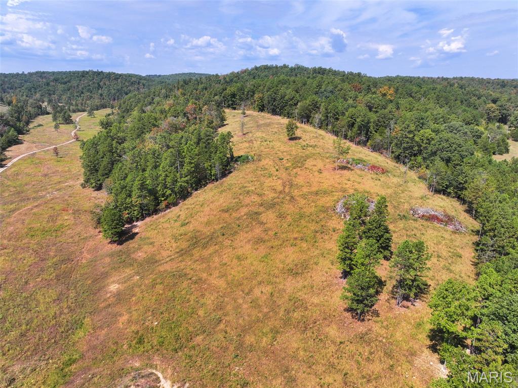 0 County Road 330 Redford, MO 63665 - Photo 12 of 96