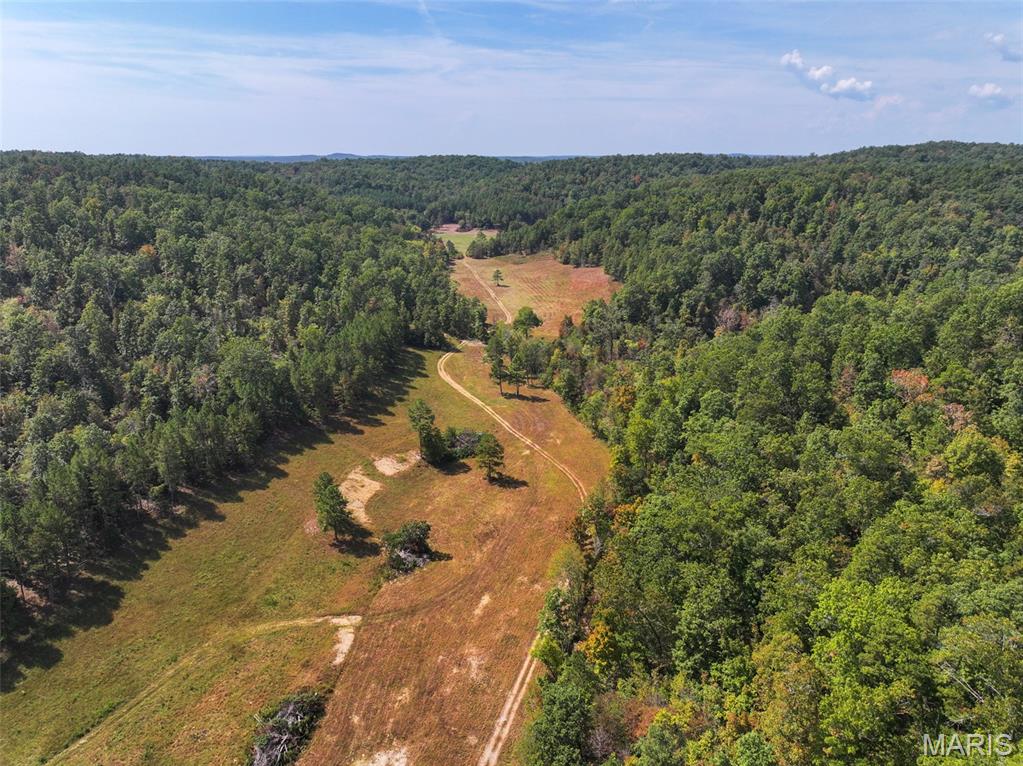 0 County Road 330 Redford, MO 63665 - Photo 20 of 96