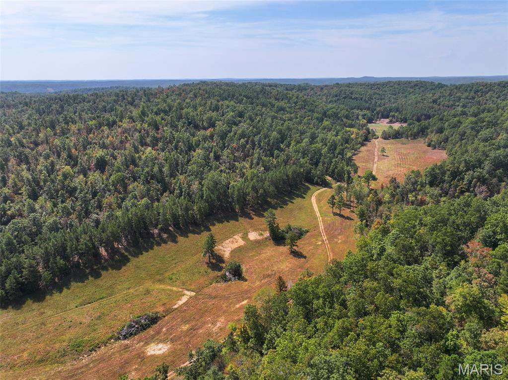 0 County Road 330 Redford, MO 63665 - Photo 21 of 96