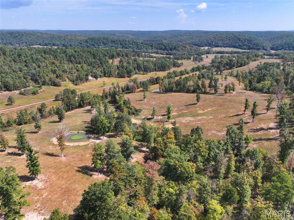 0 County Road 330 Redford, MO 63665 - Photo 24 of 96