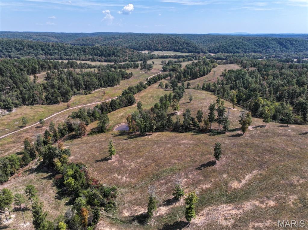 0 County Road 330 Redford, MO 63665 - Photo 25 of 96