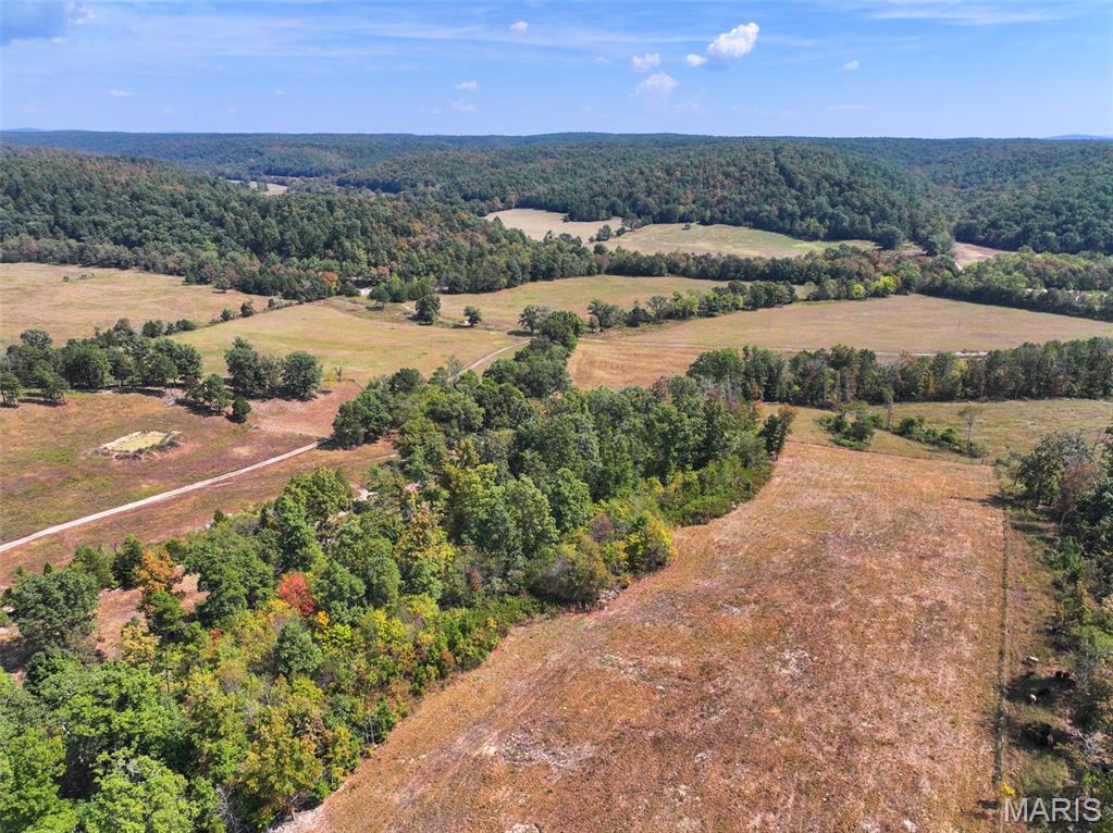 0 County Road 330 Redford, MO 63665 - Photo 27 of 96