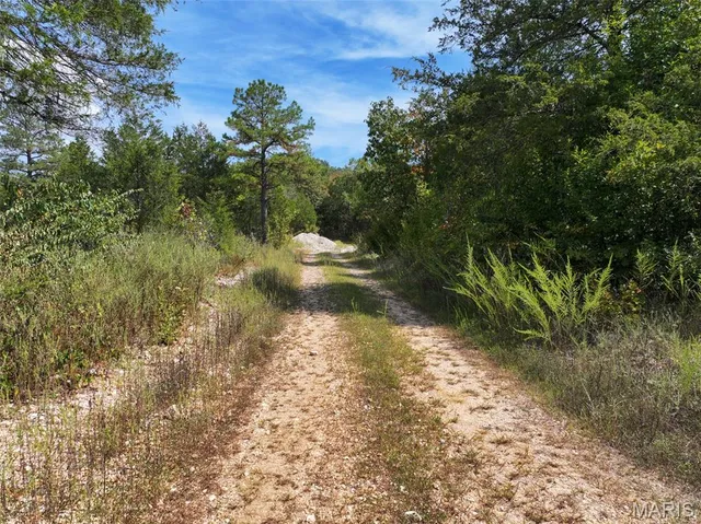 $675,000 | 0 County Road 330, Redford, MO 63665