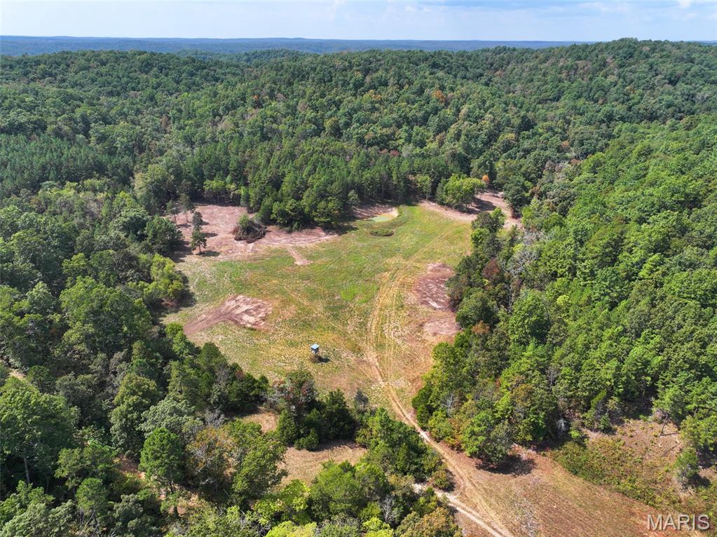 0 County Road 330 Redford, MO 63665 - Photo 43 of 96