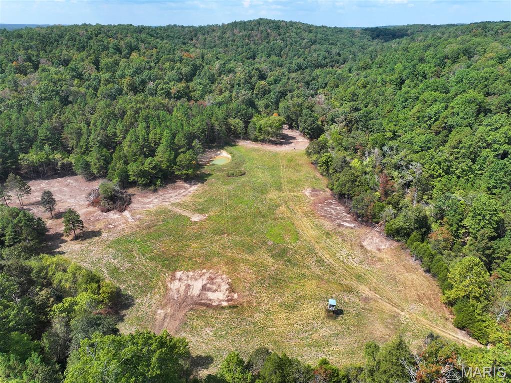 0 County Road 330 Redford, MO 63665 - Photo 44 of 96