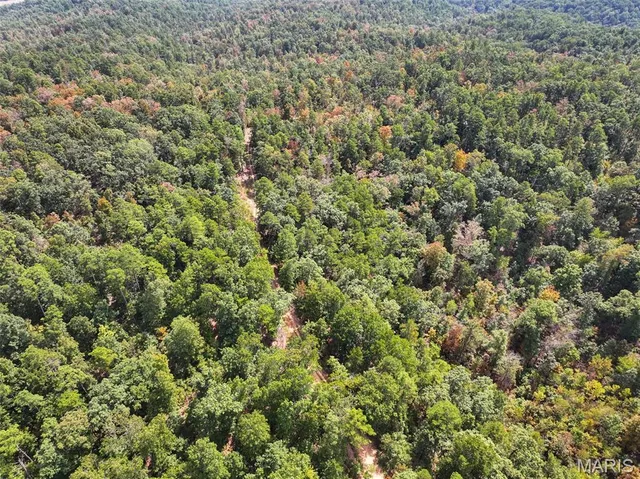 $675,000 | 0 County Road 330, Redford, MO 63665