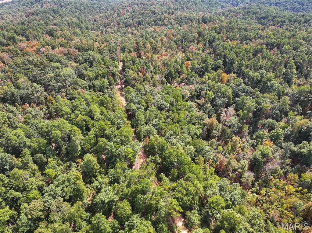 0 County Road 330 Redford, MO 63665 - Photo 45 of 96