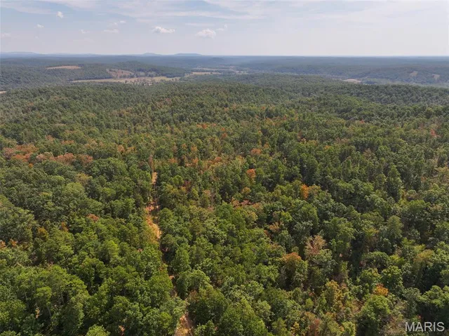 $675,000 | 0 County Road 330, Redford, MO 63665