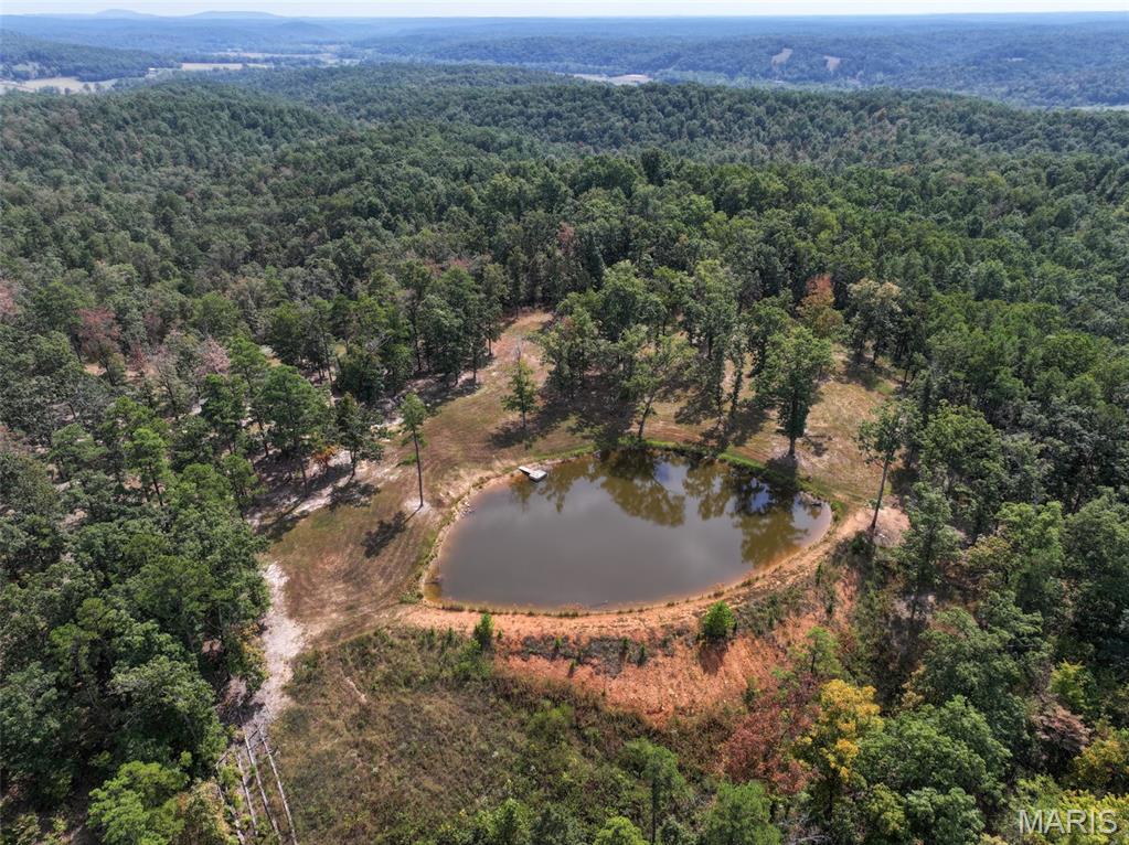 0 County Road 330 Redford, MO 63665 - Photo 47 of 96