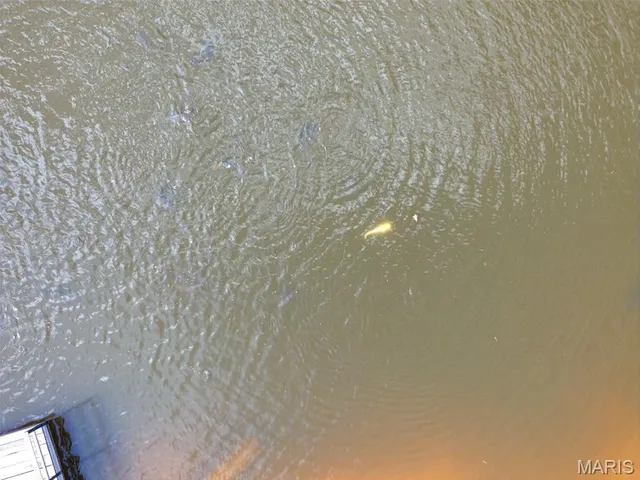 $675,000 | 0 County Road 330, Redford, MO 63665