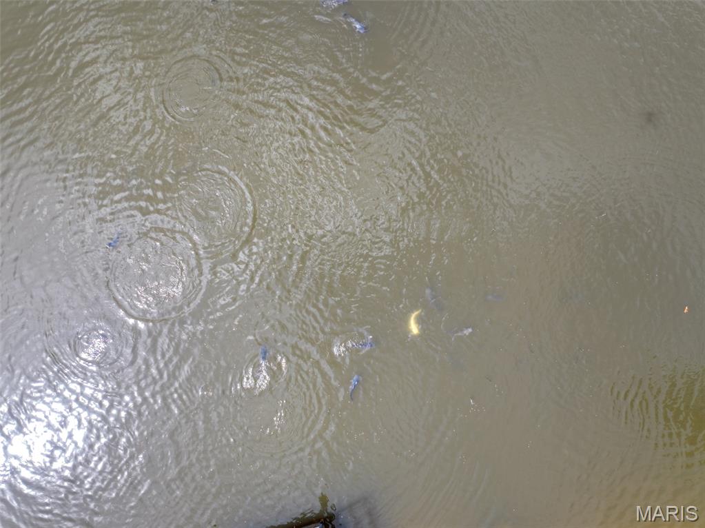 0 County Road 330 Redford, MO 63665 - Photo 50 of 96