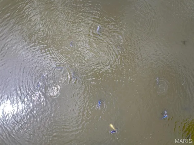 $675,000 | 0 County Road 330, Redford, MO 63665