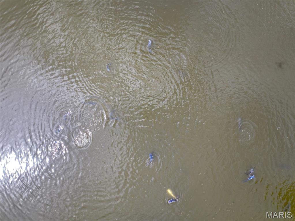 0 County Road 330 Redford, MO 63665 - Photo 51 of 96