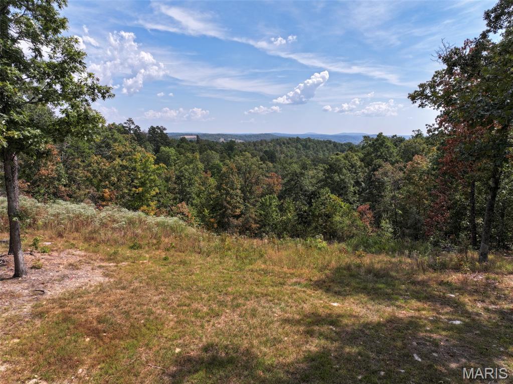 0 County Road 330 Redford, MO 63665 - Photo 58 of 96