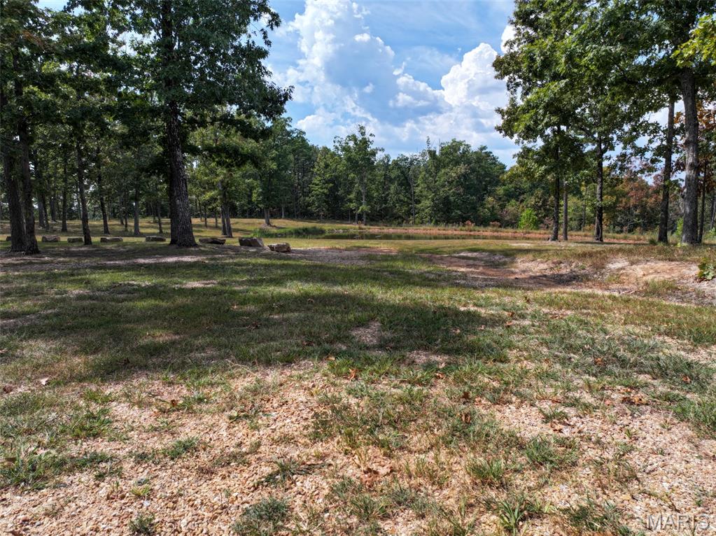 0 County Road 330 Redford, MO 63665 - Photo 63 of 96