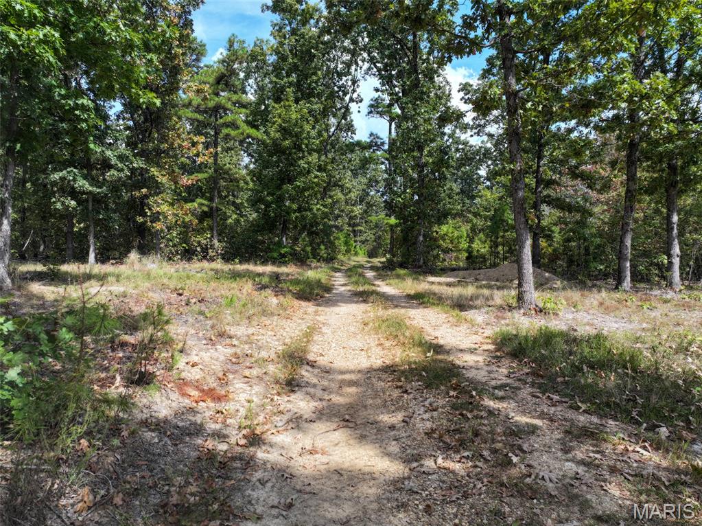 0 County Road 330 Redford, MO 63665 - Photo 65 of 96