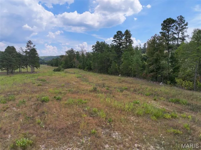 $675,000 | 0 County Road 330, Redford, MO 63665