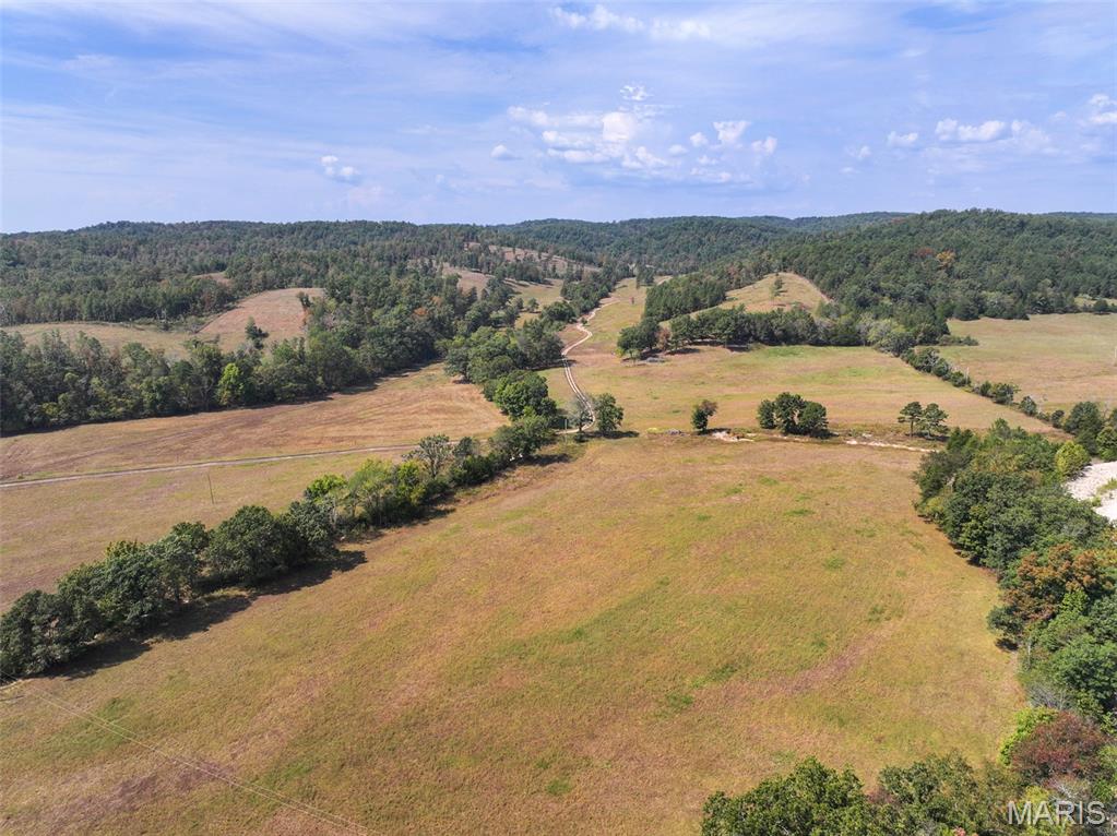 0 County Road 330 Redford, MO 63665 - Photo 8 of 96