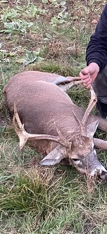 $675,000 | 0 County Road 330, Redford, MO 63665