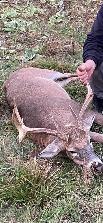 0 County Road 330 Redford, MO 63665 - Photo 85 of 96