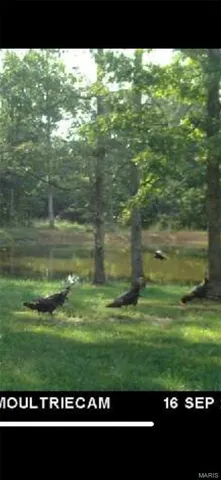 $675,000 | 0 County Road 330, Redford, MO 63665