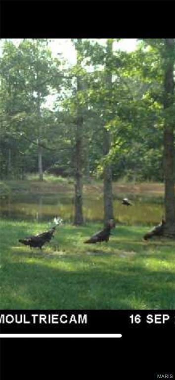 0 County Road 330 Redford, MO 63665 - Photo 86 of 96