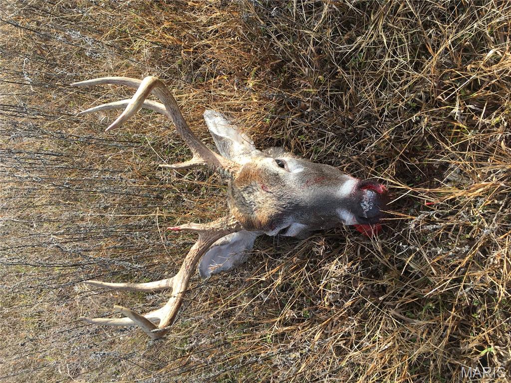 0 County Road 330 Redford, MO 63665 - Photo 87 of 96