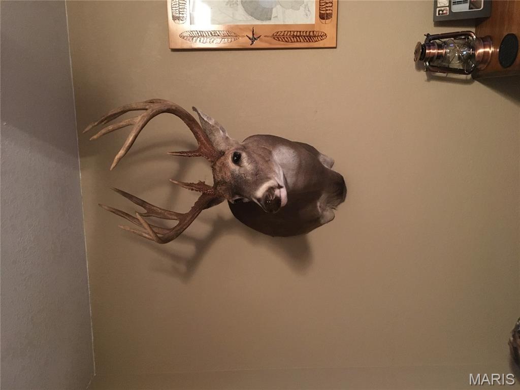 0 County Road 330 Redford, MO 63665 - Photo 88 of 96