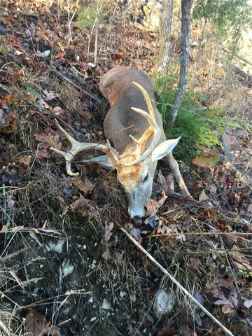 $675,000 | 0 County Road 330, Redford, MO 63665