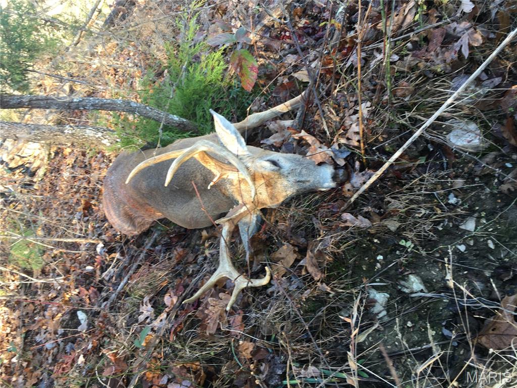 0 County Road 330 Redford, MO 63665 - Photo 89 of 96