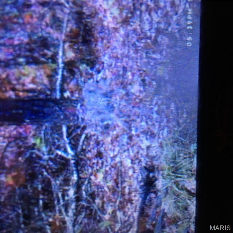 0 County Road 330 Redford, MO 63665 - Photo 91 of 96