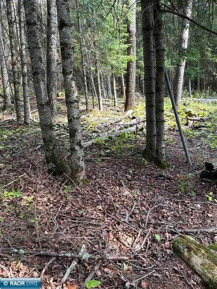12433 Burma Road Kabetogama, MN 56669 - Photo 36 of 38 Gallery Image 36