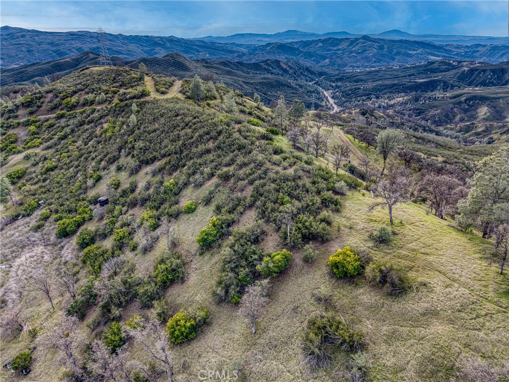 162 Mule Skinner Road Clearlake Oaks, CA 95423 - Photo 19 of 25 a view of a forest with a forest