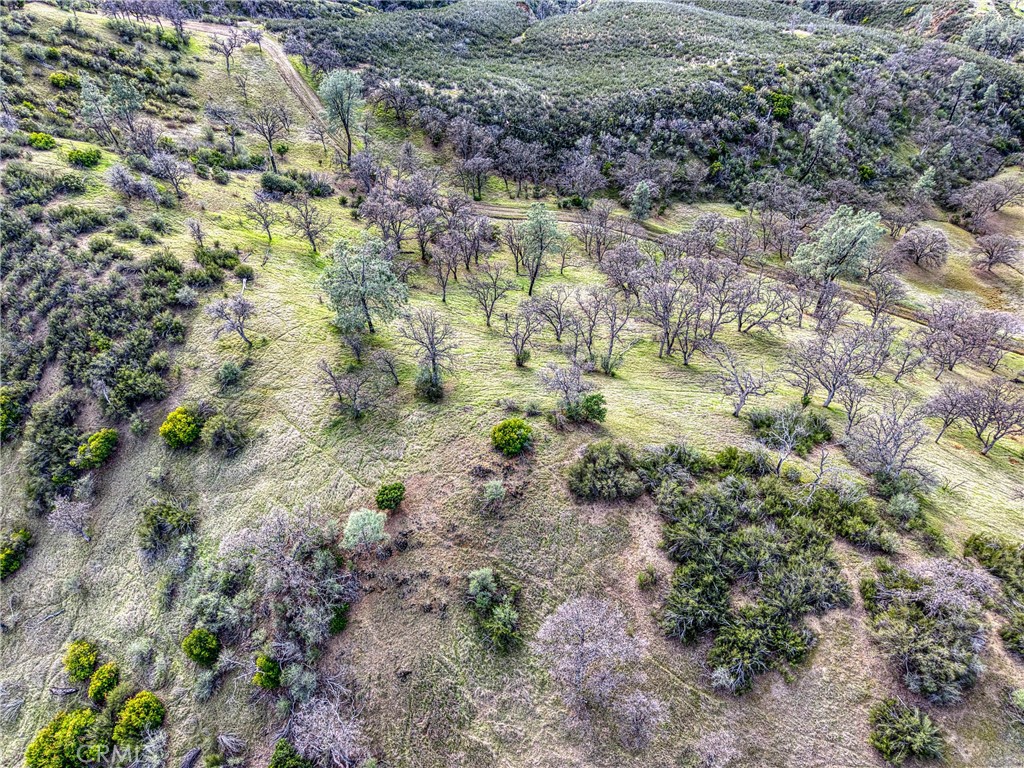 162 Mule Skinner Road Clearlake Oaks, CA 95423 - Photo 23 of 25 a view of a yard