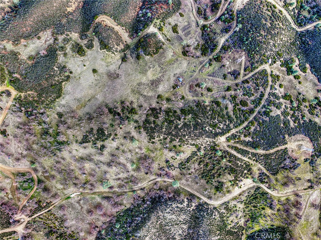 162 Mule Skinner Road Clearlake Oaks, CA 95423 - Photo 24 of 25 a view of a tree in a forest