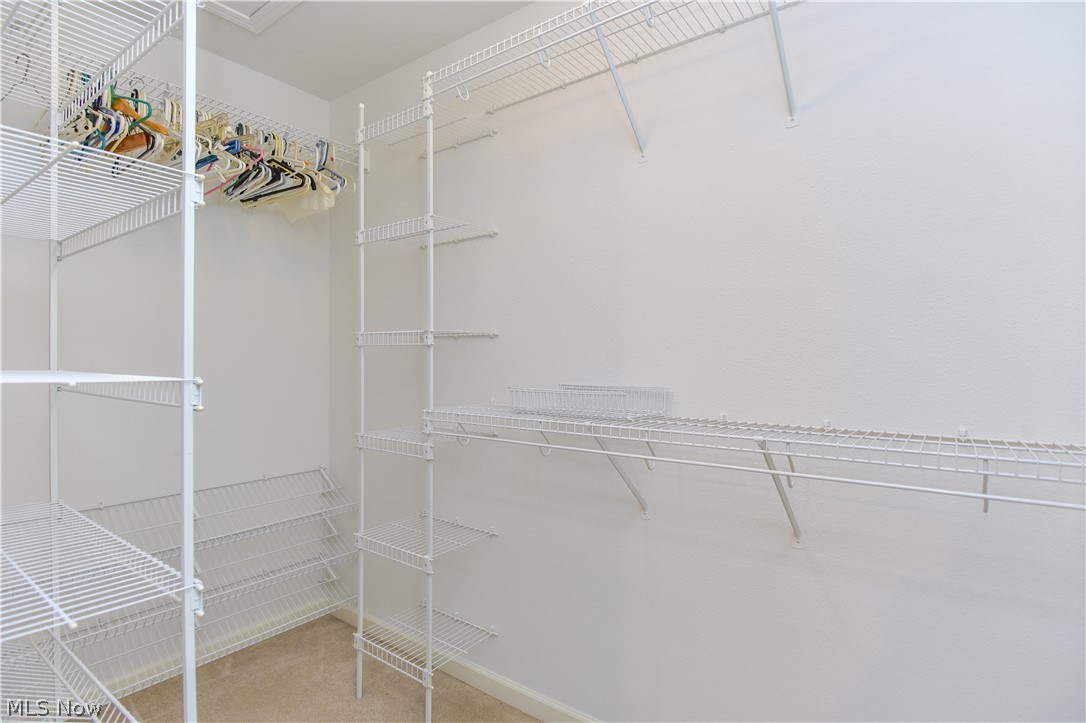 603 South Raccoon Road, Unit 5 Youngstown, OH 44515 - Photo 13 of 18 Gallery Image 13