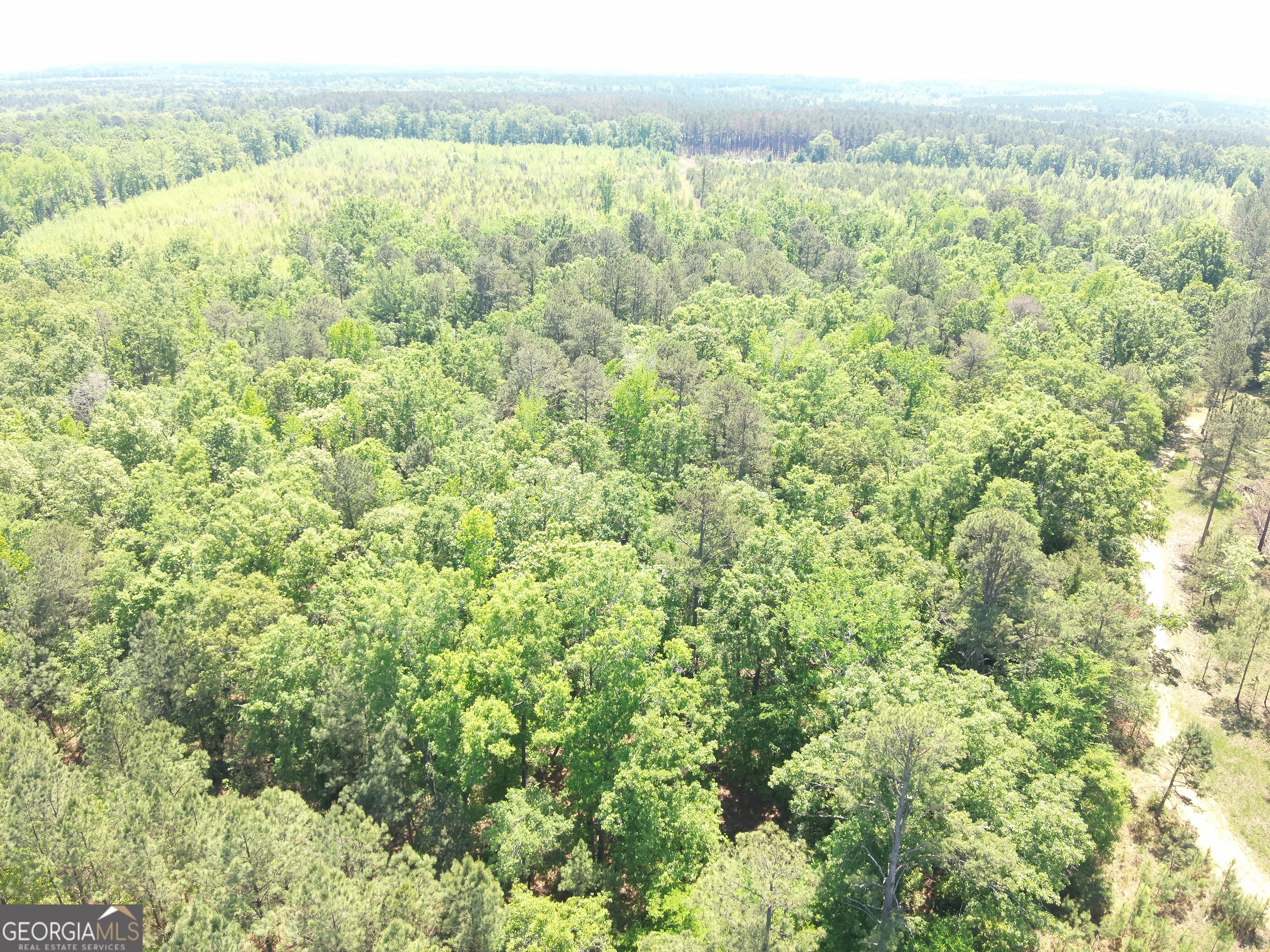 3841 Wilson Road Davisboro, GA 31018 - Photo 16 of 37 a view of a green field with lots of bushes